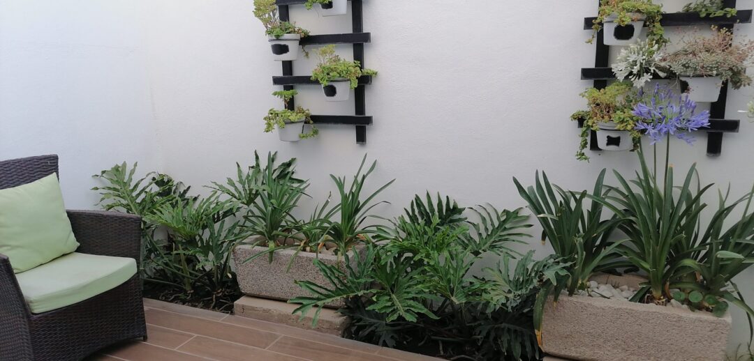 capittala-casas-en-venta-aguascalientes-modelo-aqua-patio