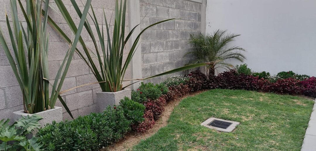 capittala-casas-en-venta-aguascalientes-modelo-sol-patio