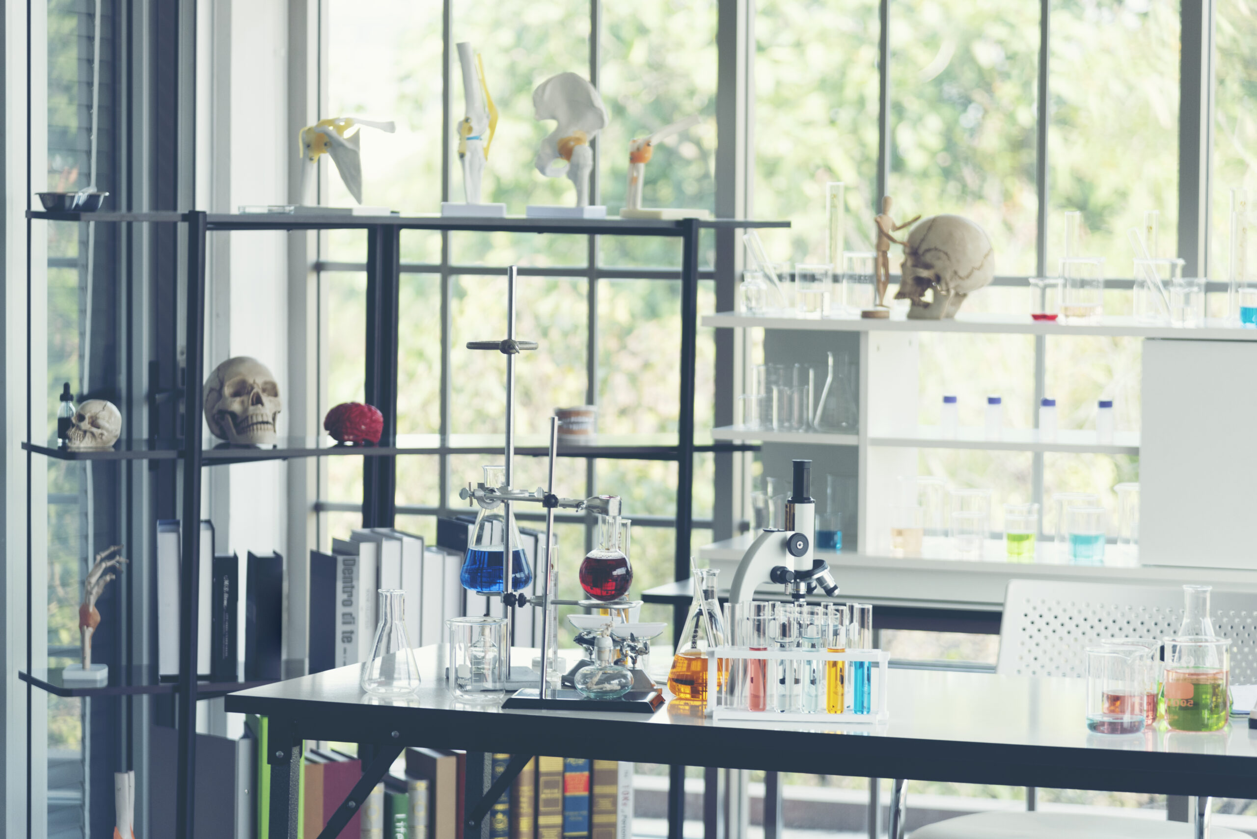 Explorando la ciencia y la cultura en el Centro de Ciencias de Sinaloa