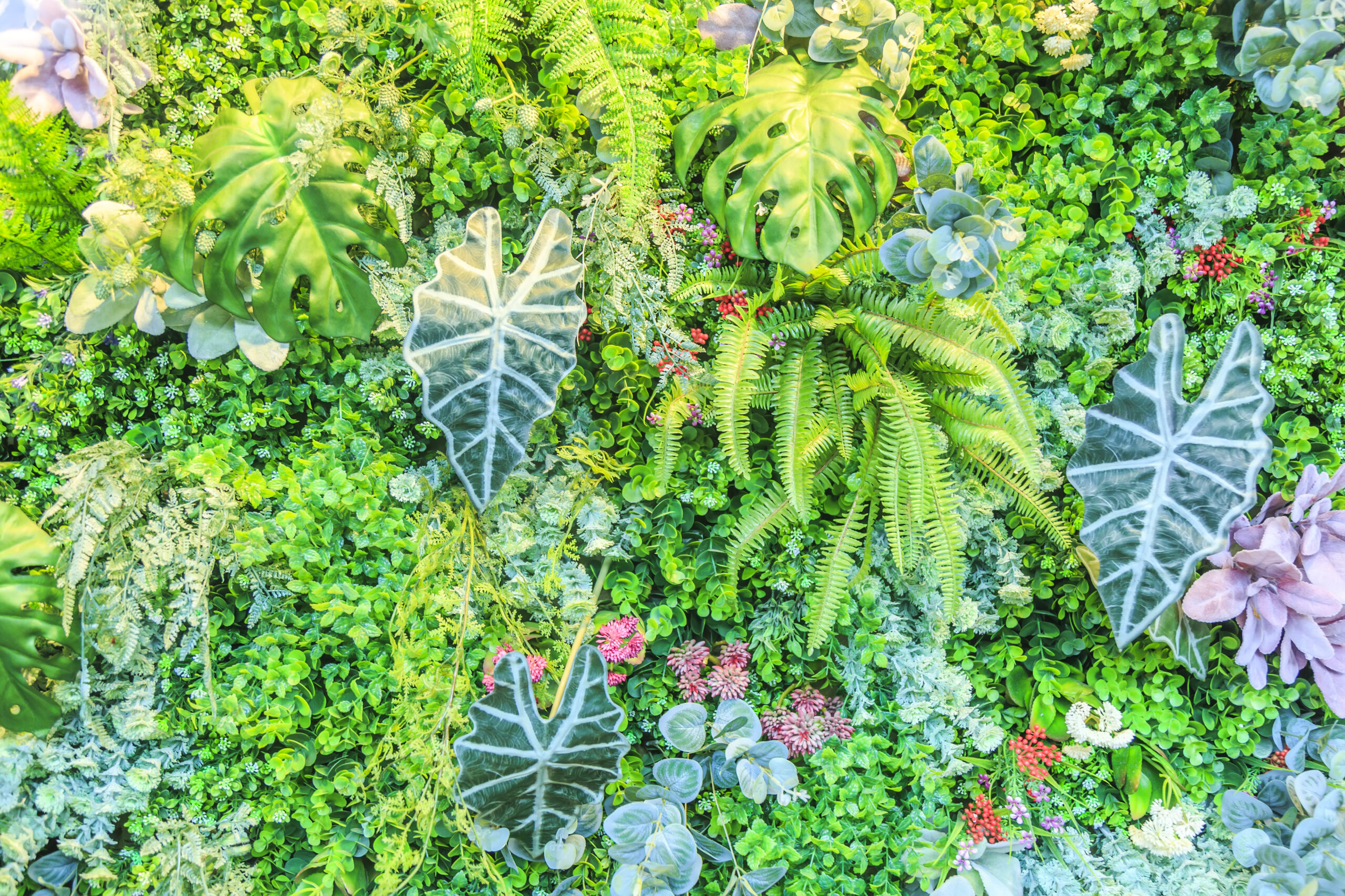 Plantas en el Jardín Botánico de Culiacán