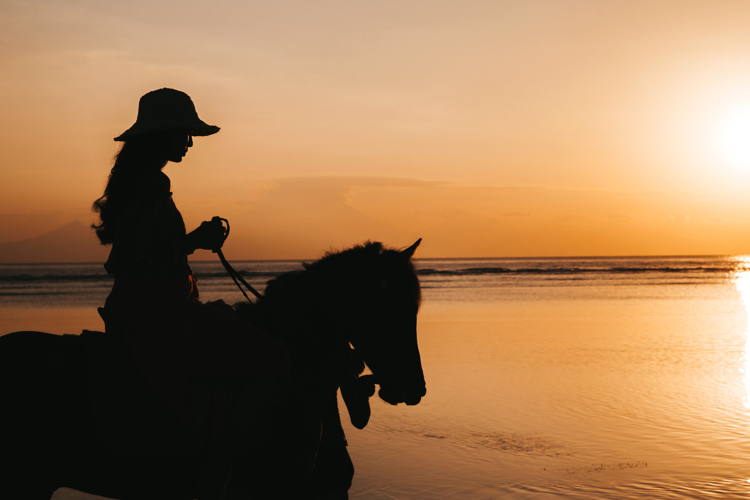 Paseo de caballo en la bahia de Topolobampo