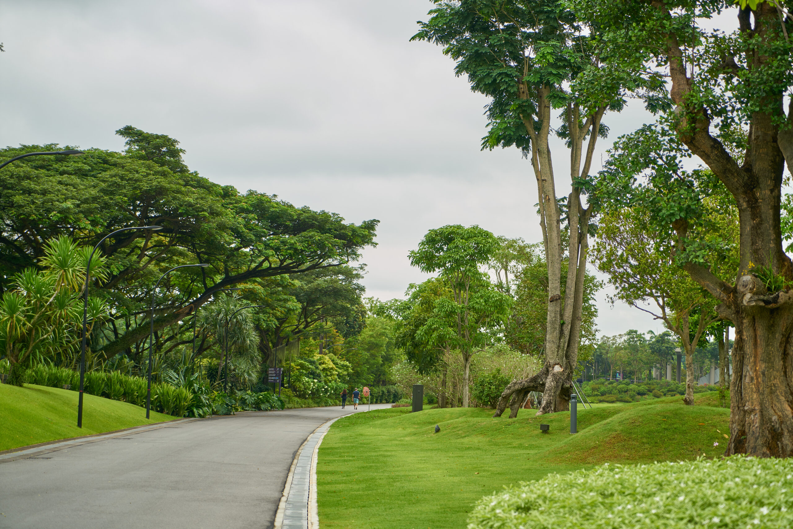 beautiful park
