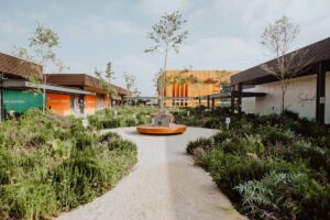 Plantas y arboles en Azotea Verde Plaza Satelite