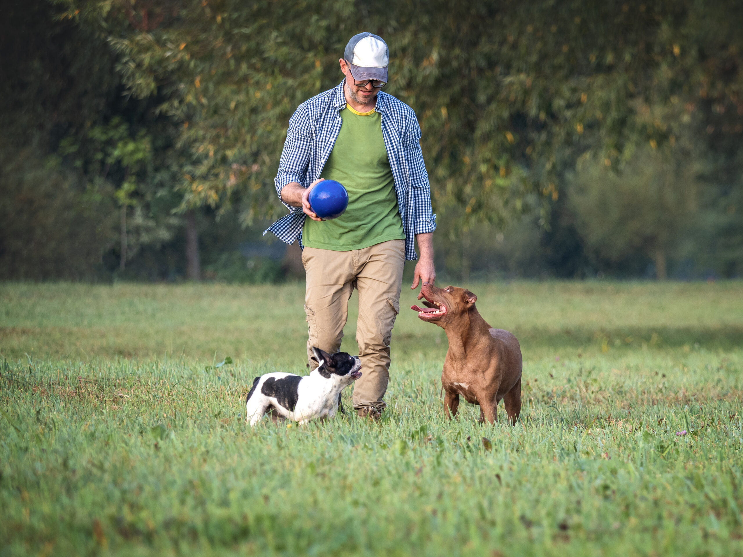 Charming dog, pretty little puppy and attractive man