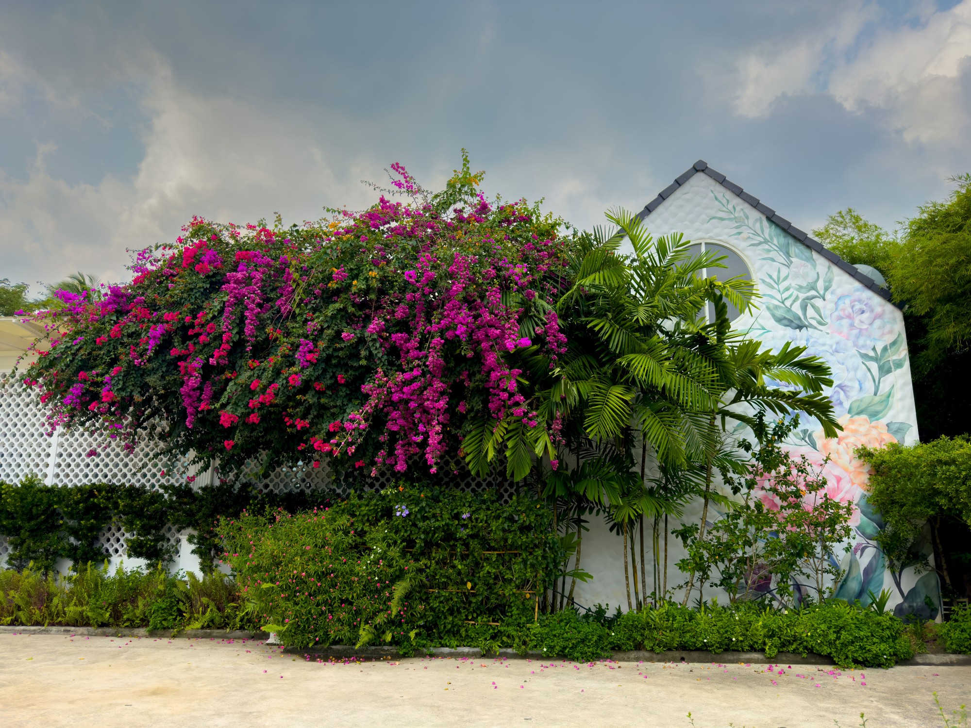 Fachada de casa con una hermosa bugambilia y palmera adornan y embellecen el espacio