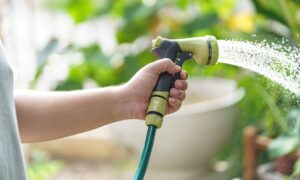 Hombre regando plantas en su jardín jardinería urbana regando plantas