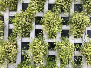 Jardín vertical en torre de departamentos se usa en el exterior como aislante termico y de ruidos además fomenta la fauna