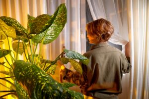 Persona ajustando cortinas con una planta de interior en un ambiente interior 