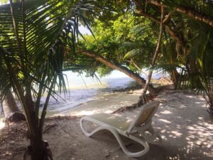 Plantas resistentes a la costa en casa de playa