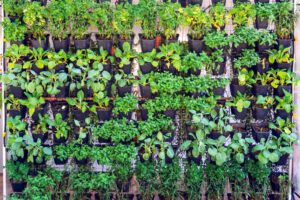 Jardineria Vertical en Estructuras modulares y paneles prefabricados con sistemas de riego incorporado