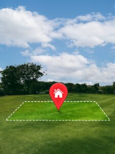 delimitacion-de-terreno-con-arboles