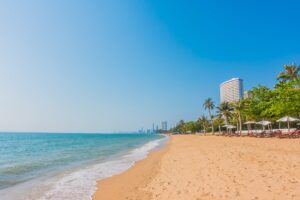 hermosa-playa-y-mar-con-palmera-inversion-en-casas-de-playa-o-descanso